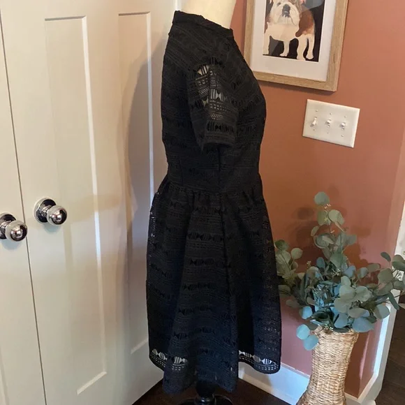 Rachel Parcell Anglaise L Black embroidered overlay fit & flare lined knee dress - Picture 6 of 16